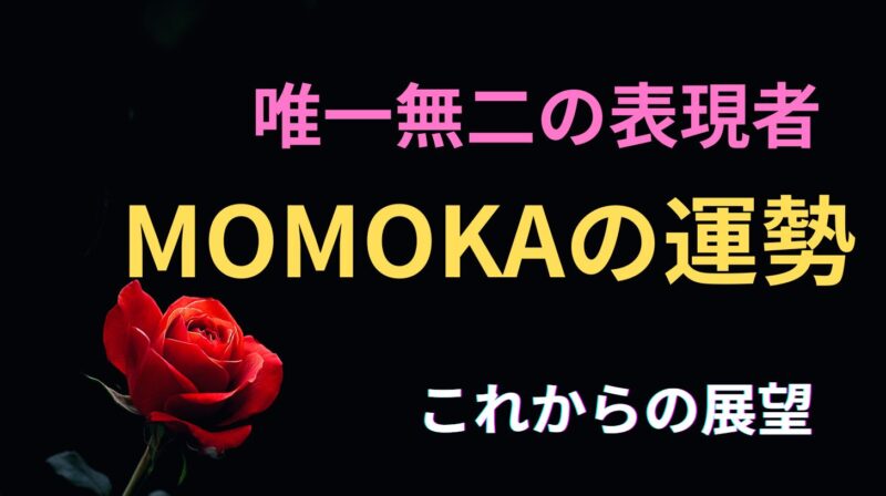 HANA MOMOKAの占い。運勢とこれからの展望を占った星空イメージ